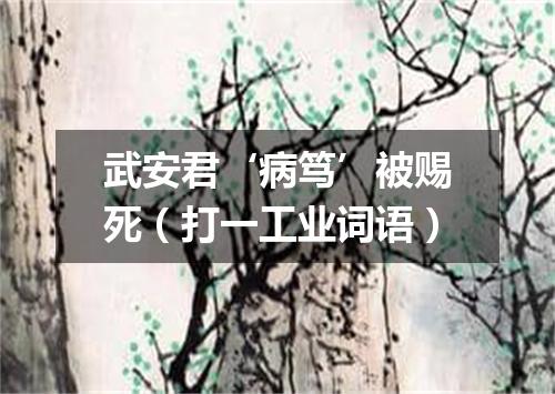 武安君‘病笃’被赐死（打一工业词语）