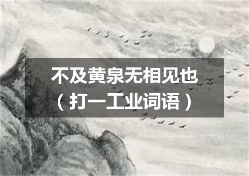 不及黄泉无相见也（打一工业词语）