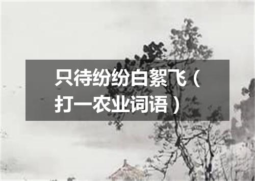 只待纷纷白絮飞（打一农业词语）