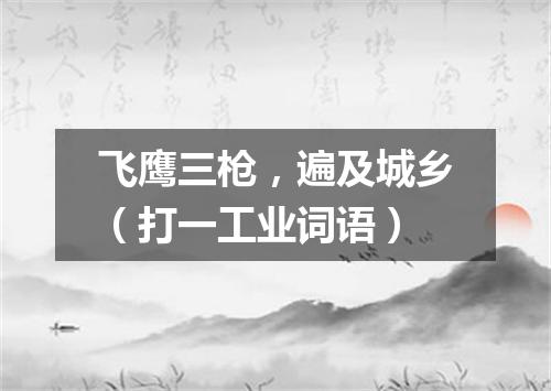 飞鹰三枪，遍及城乡（打一工业词语）