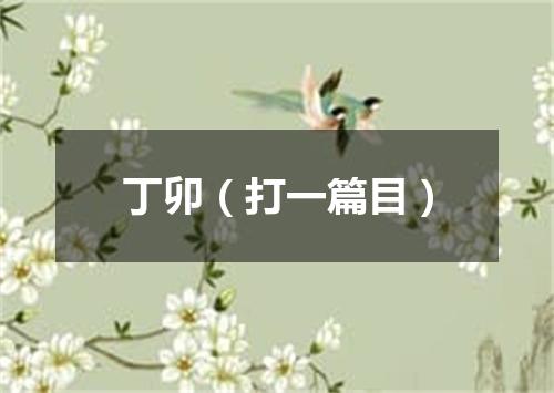 丁卯（打一篇目）