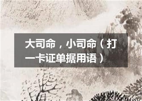 大司命，小司命（打一卡证单据用语）