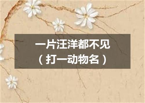 一片汪洋都不见（打一动物名）