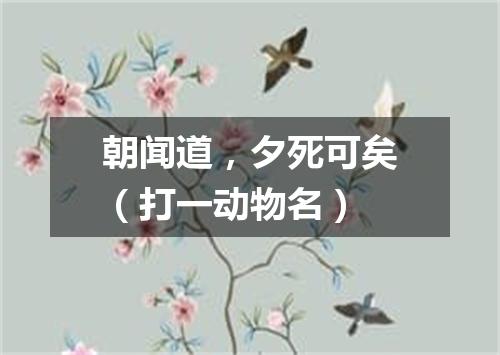 朝闻道，夕死可矣（打一动物名）