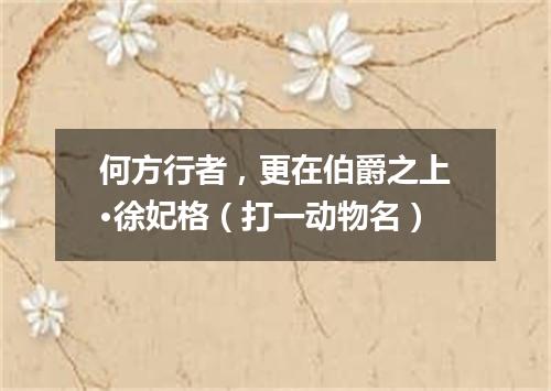 何方行者，更在伯爵之上·徐妃格（打一动物名）