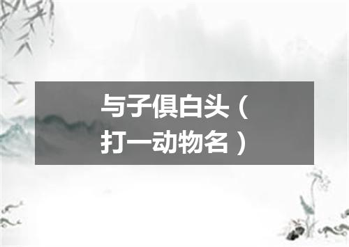 与子俱白头（打一动物名）