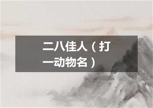 二八佳人（打一动物名）
