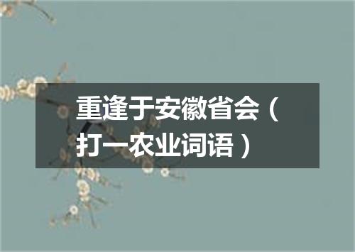 重逢于安徽省会（打一农业词语）
