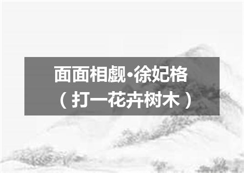 面面相觑·徐妃格（打一花卉树木）