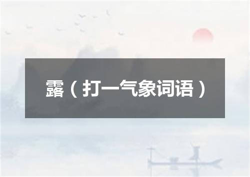 露（打一气象词语）