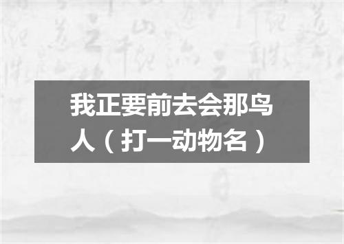 我正要前去会那鸟人（打一动物名）