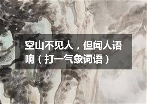 空山不见人，但闻人语响（打一气象词语）