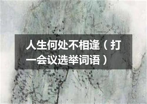 人生何处不相逢（打一会议选举词语）