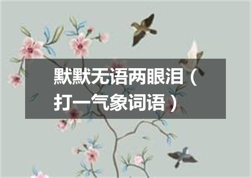 默默无语两眼泪（打一气象词语）