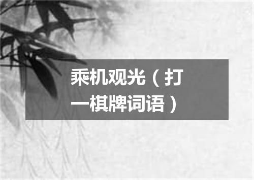 乘机观光（打一棋牌词语）