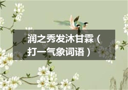 润之秀发沐甘霖（打一气象词语）