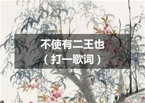 不使有二王也（打一歌词）