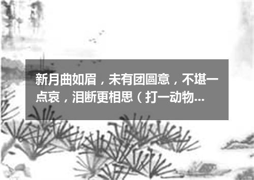 新月曲如眉，未有团圆意，不堪一点哀，泪断更相思（打一动物名）