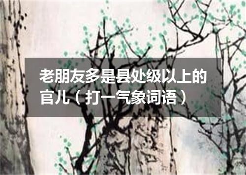 老朋友多是县处级以上的官儿（打一气象词语）