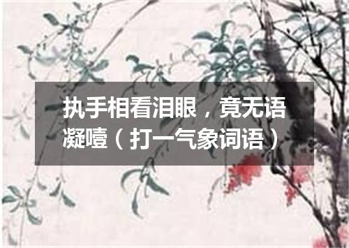 执手相看泪眼，竟无语凝噎（打一气象词语）