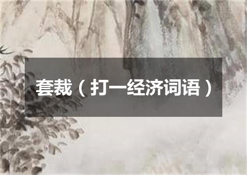 套裁（打一经济词语）