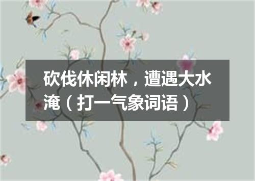 砍伐休闲林，遭遇大水淹（打一气象词语）