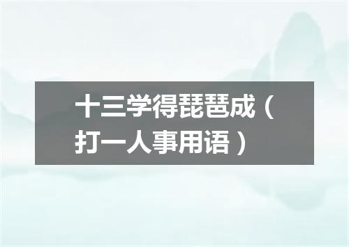 十三学得琵琶成（打一人事用语）