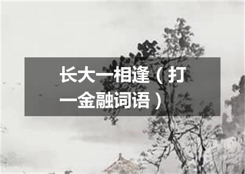 长大一相逢（打一金融词语）