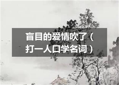 盲目的爱情吹了（打一人口学名词）