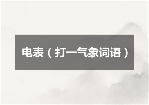 电表（打一气象词语）