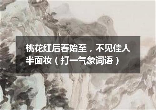 桃花红后春始至，不见佳人半面妆（打一气象词语）