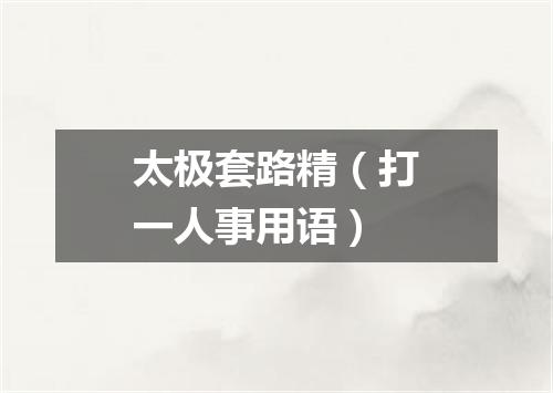 太极套路精（打一人事用语）