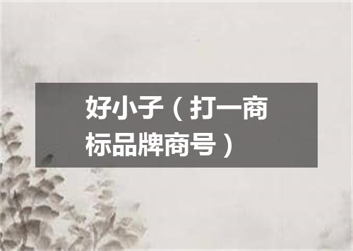 好小子（打一商标品牌商号）