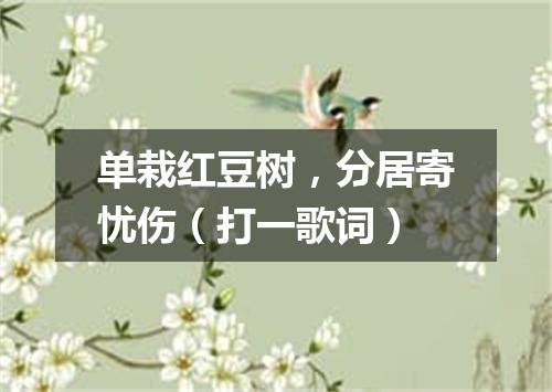 单栽红豆树，分居寄忧伤（打一歌词）