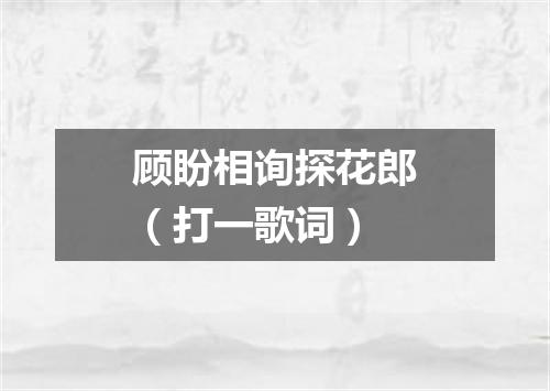 顾盼相询探花郎（打一歌词）