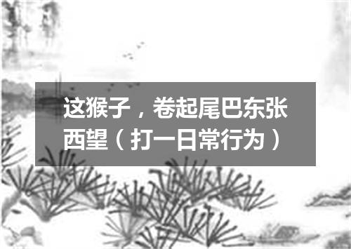 这猴子，卷起尾巴东张西望（打一日常行为）