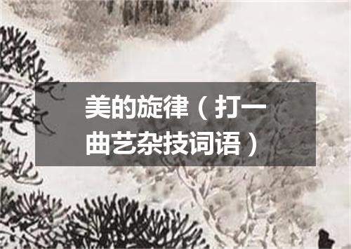 美的旋律（打一曲艺杂技词语）
