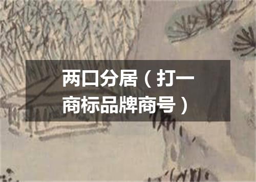 两口分居（打一商标品牌商号）