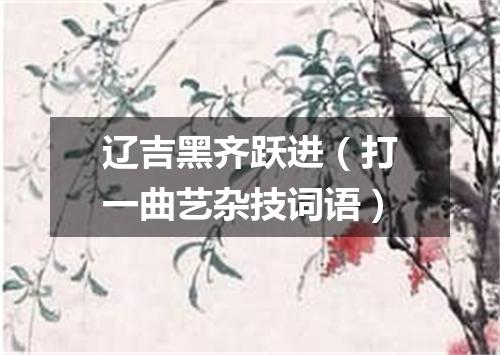 辽吉黑齐跃进（打一曲艺杂技词语）