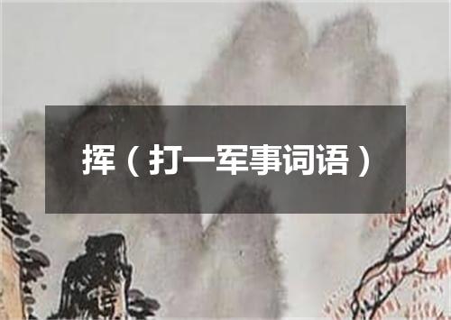 挥（打一军事词语）