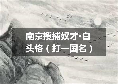 南京搜捕奴才·白头格（打一国名）