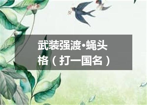 武装强渡·蝇头格（打一国名）