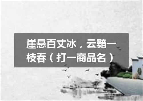 崖悬百丈冰，云黯一枝春（打一商品名）