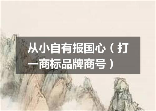 从小自有报国心（打一商标品牌商号）