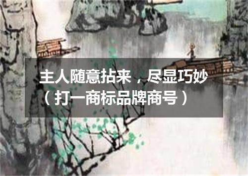 主人随意拈来，尽显巧妙（打一商标品牌商号）