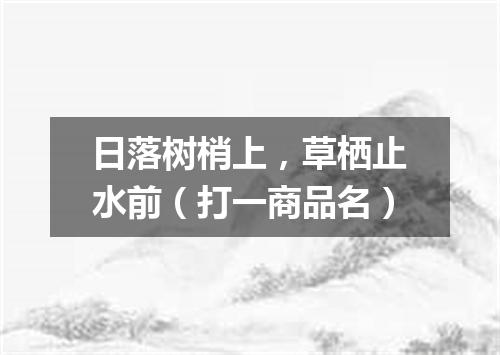 日落树梢上，草栖止水前（打一商品名）
