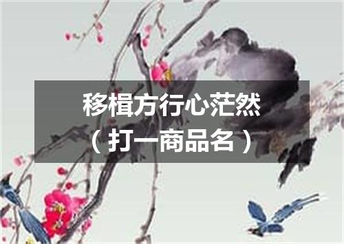 移楫方行心茫然（打一商品名）