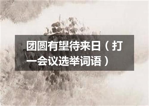团圆有望待来日（打一会议选举词语）