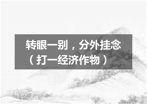 转眼一别，分外挂念（打一经济作物）
