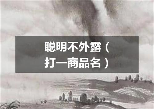 聪明不外露（打一商品名）